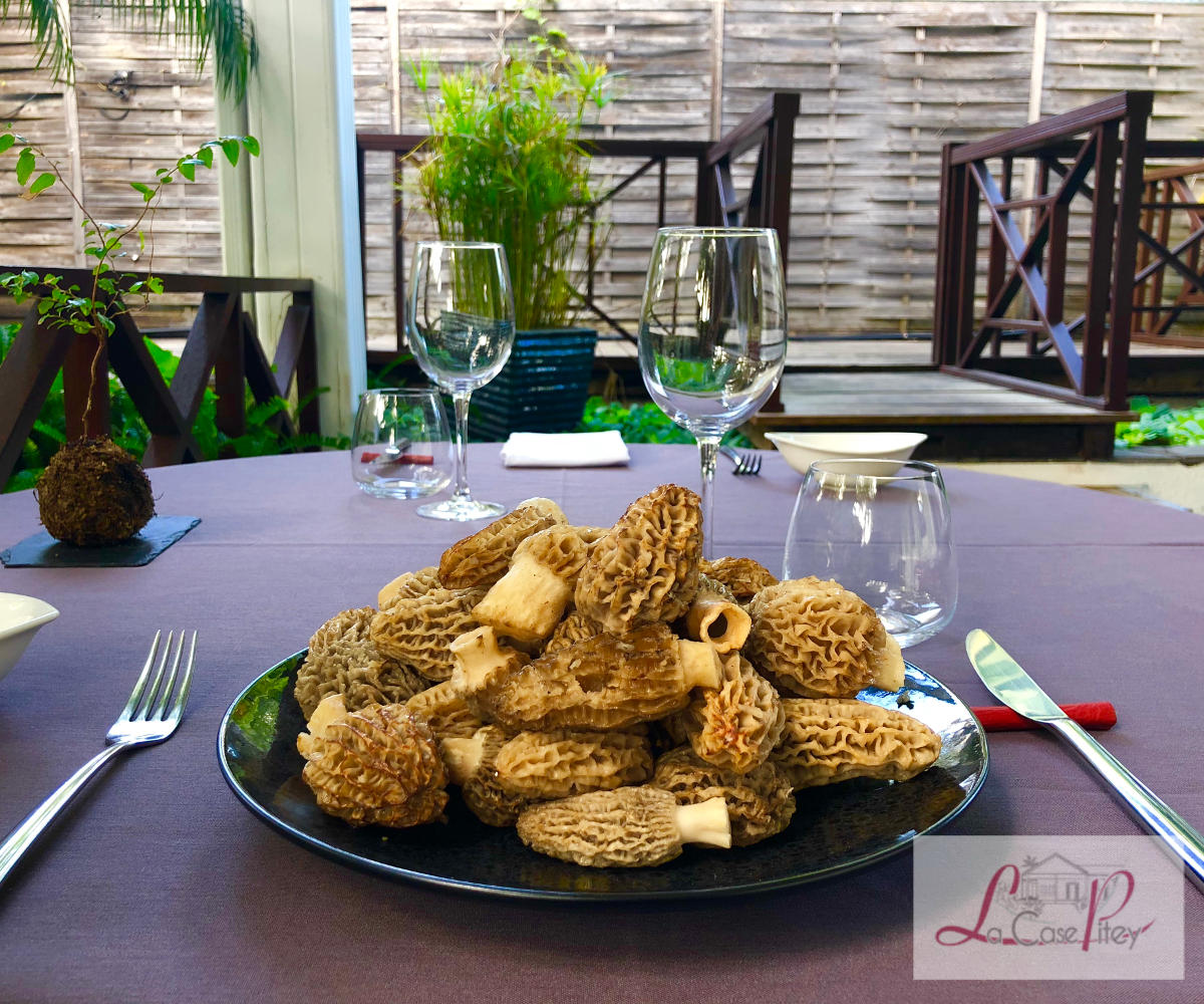 Les morilles sont arrivées !